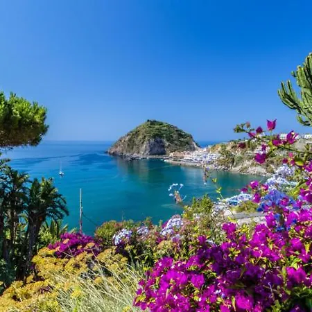 Villa Con Giardino Esclusivo Di 1000 Mq, Piscina, Tennis, Calcio, Bocce Forio di Ischia