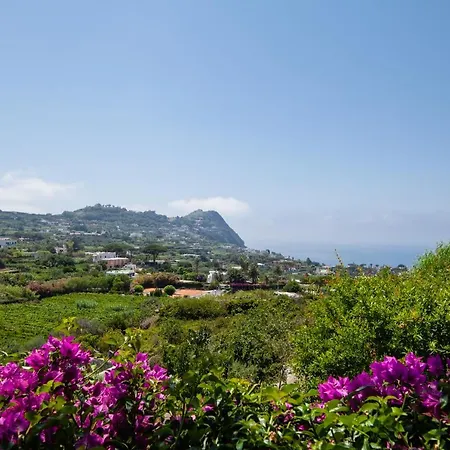 Villa Con Giardino Esclusivo Di 1000 Mq, Piscina, Tennis, Calcio, Bocce