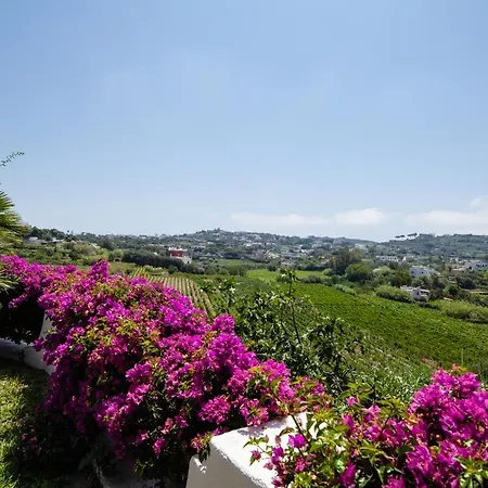 Villa Con Giardino Esclusivo Di 1000 Mq, Piscina, Tennis, Calcio, Bocce *