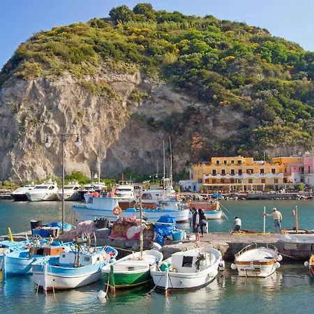 Con Giardino Esclusivo Di 1000 Mq, Piscina, Tennis, Calcio, Bocce Forio (Isola d'Ischia)