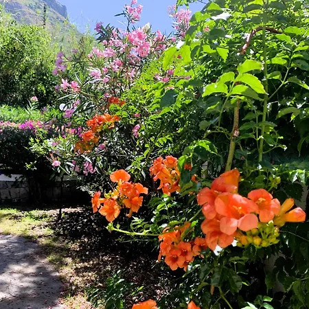 Con Giardino Esclusivo Di 1000 Mq, Piscina, Tennis, Calcio, Bocce * Forio (Isola d'Ischia)