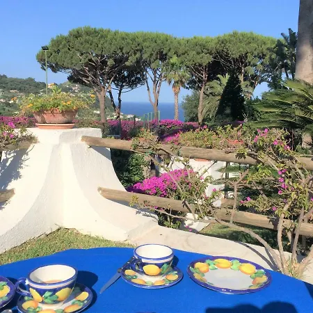Villa Con Giardino Esclusivo Di 1000 Mq, Piscina, Tennis, Calcio, Bocce Forio (Isola d'Ischia)